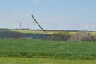 n250426_103840web_small.jpg