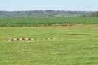 n250426_114809_web_small.jpg