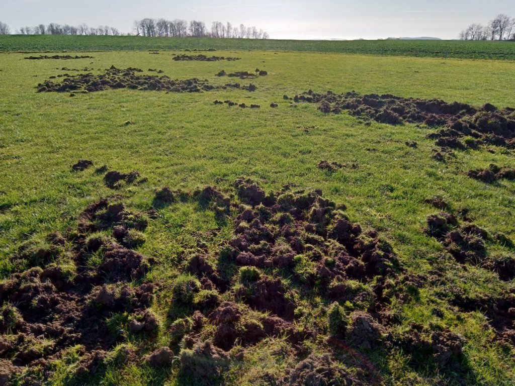 dassiehtnacharbeitseinsatzaus0712einsatzundzaunerhhung.jpg