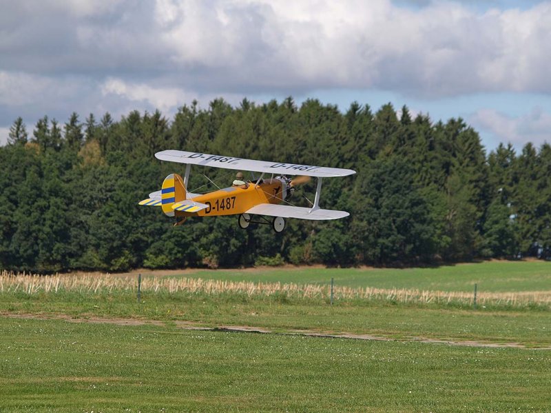 rentnerfliegen_30_08_20166klein.jpg