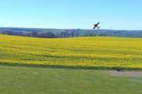 renegilesmesserflug_small.jpg