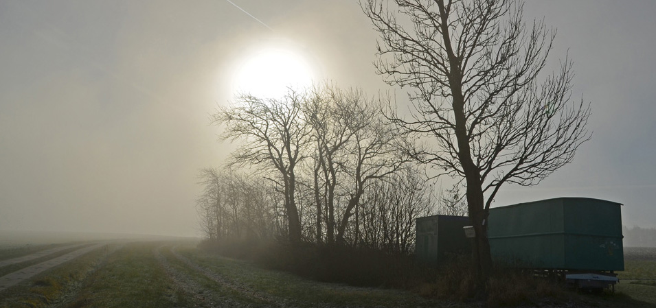 KeinZoom MFC Freiberg